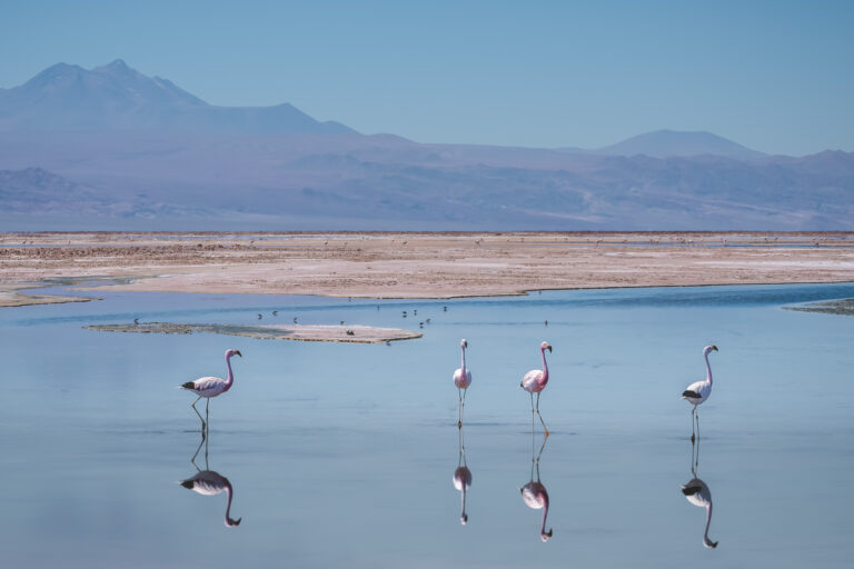 Best Things to do in San Pedro de Atacama, Chile